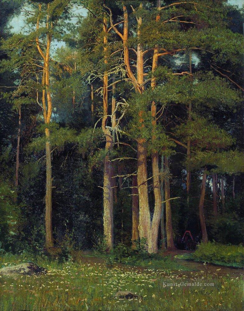 Pinienwald in ligovo 1895 klassische Landschaft Ivan Ivanovich Ölgemälde